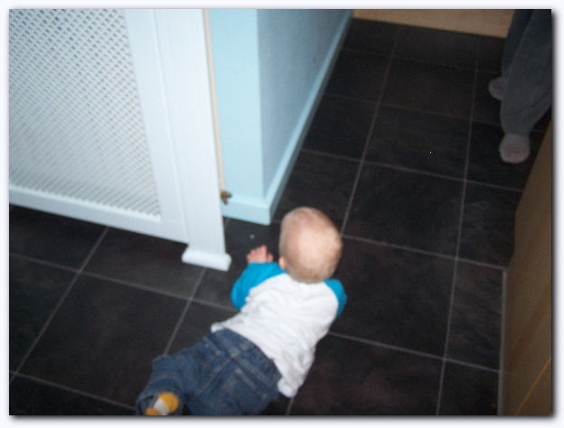 599x448 pixels (183K)