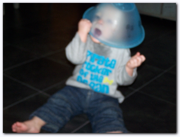 599x448 pixels (181K)