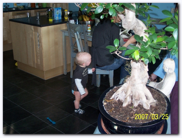 599x448 pixels (243K)