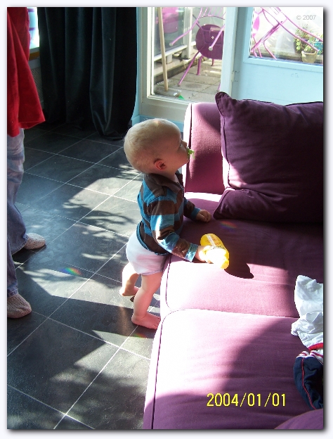 449x598 pixels (224K)