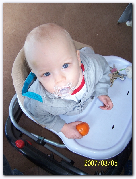 449x598 pixels (209K)