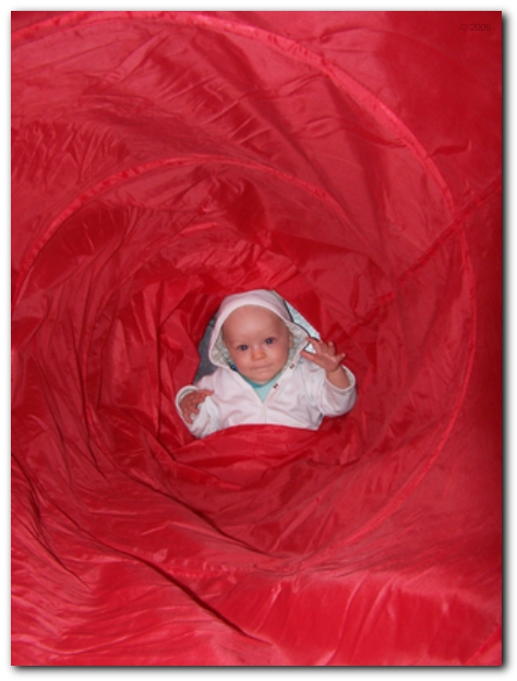 449x598 pixels (184K)