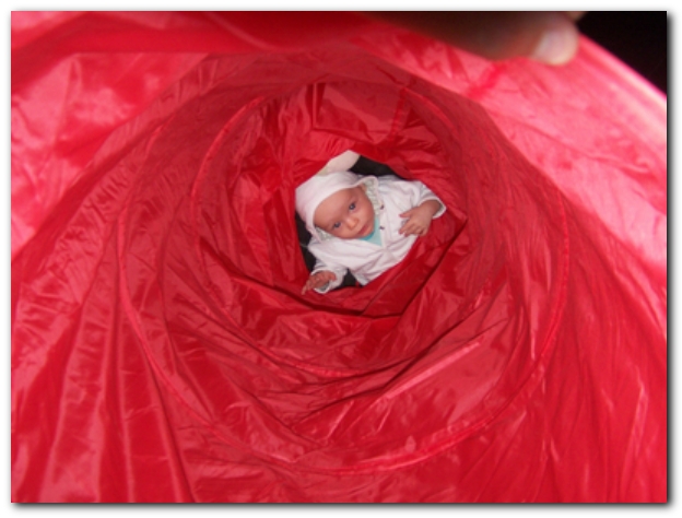 599x448 pixels (179K)