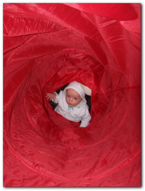 449x598 pixels (181K)