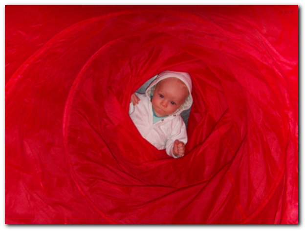 599x448 pixels (173K)