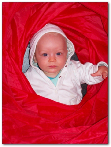 449x598 pixels (187K)