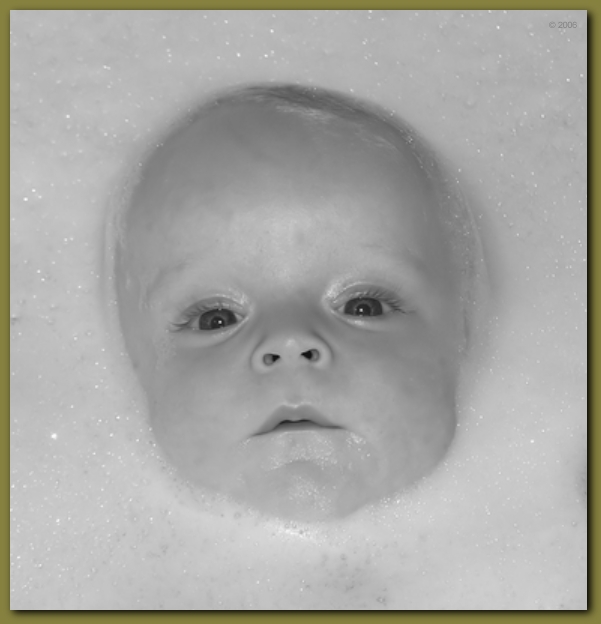 576x598 pixels (125K)