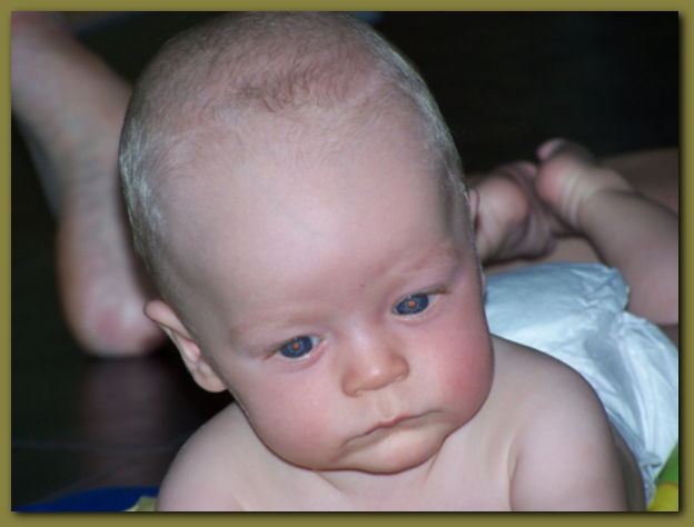 599x448 pixels (156K)