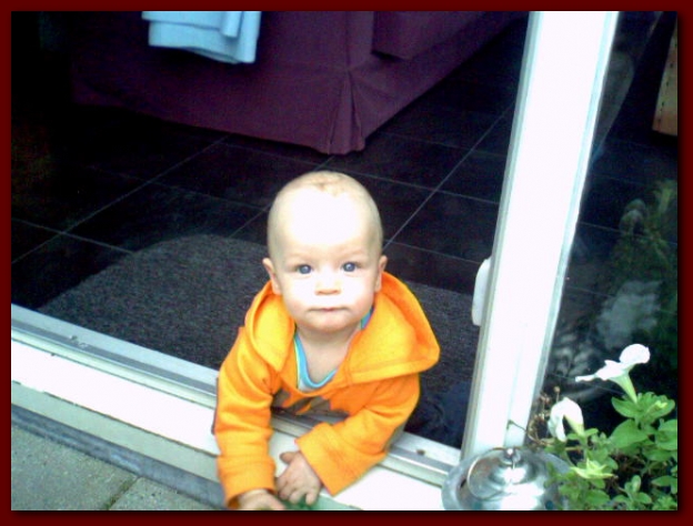 599x448 pixels (199K)