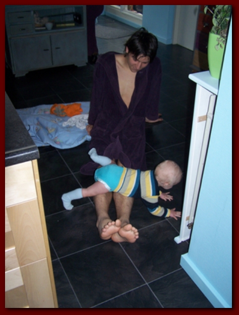 449x598 pixels (181K)