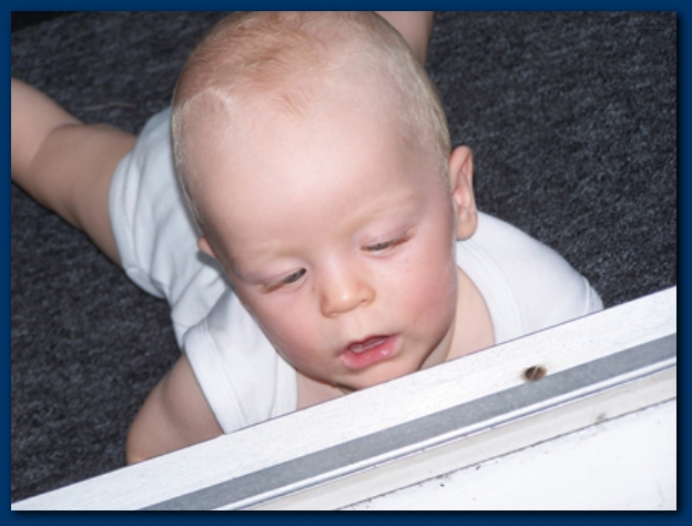 599x448 pixels (177K)