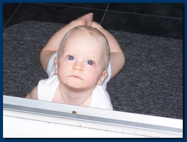 599x448 pixels (183K)